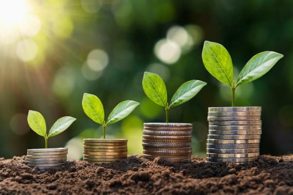 3 piles de pièces de monnaie sur lesquelles poussent de jeunes plantes