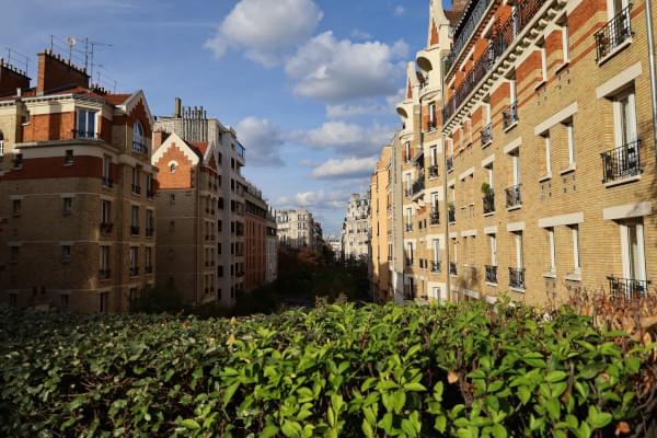 Verdure entre deux immeubles